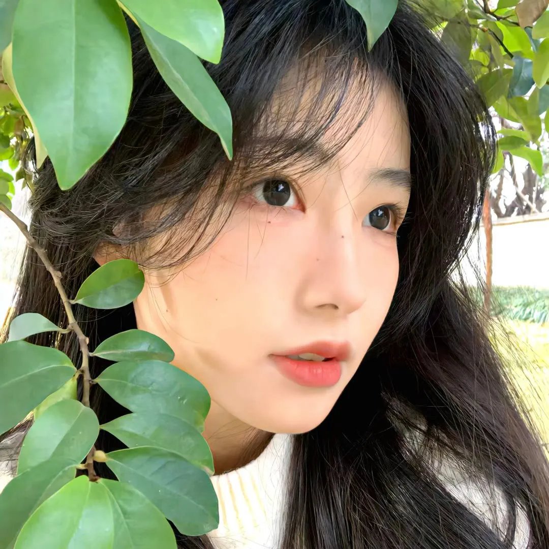 舞姬春梦